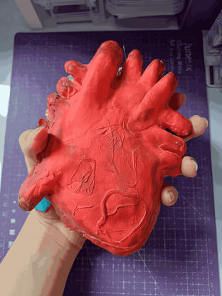 Coração (trabalho escolar)